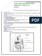 Coursorigine Etmaturation Des Lyphocytes