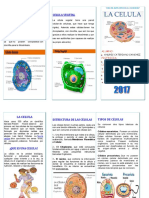 Triptico La Celula