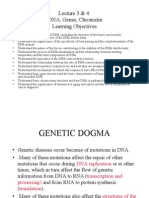 Lecture 3 & 4: DNA, Genes, Chromatin Learning Objectives