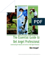 Bet Angel Reference Guide