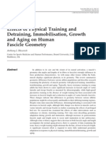 Effects of Physical Training and Detraining, Immobilisation, Growth and Aging On Human Fascicle Geometry