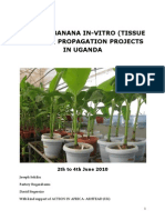 Report On Visit To Banana Tissue Culture In-Vitro Propagation Projects in Uganda