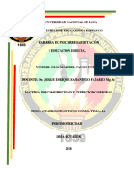 Cuadros Sinopticos PDF