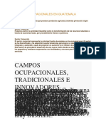 Campos Ocupacionales en Guatemala