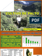 Cultivo de Palto 2108