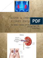 Acute Chronic Renal Failure