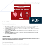 Cardiovascular System Anatomy and Physiology