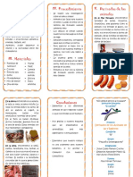 Triptico Derivados de Los Animales