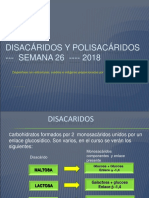 Disacaridos y Polisacaridos