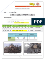 Informe Cadena Berco BPR1 D11T-1