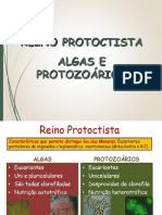 Reino Protistaa