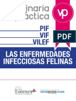 Enfermedades Infecciosas Felinas