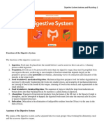 Digestive System Anatomy and Physiology