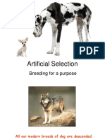 Artificial Selection