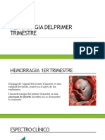 Hemorragia Obstétrica. Primer-Segundo y Tercer Trimestre