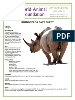 Rhinoceros PDF