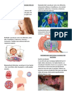 Enfermedades Infecciosas Provocadas Por Los Virus