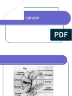 Pancreatic Cancer