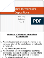 Abnormal Intracellular Depositions