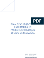 Cuidados de Enfermeria en Paciente Critico