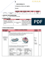 SESIÓN DE Celula Eucariota