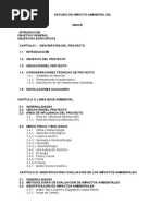 04 Impacto Ambiental Iei Pedregal