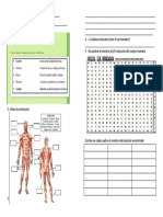 Evaluación - Ciencias Musculosdocx