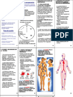 Triptico 1ros Auxilios