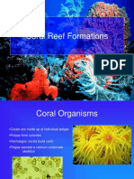 CoralReefFormations PDF