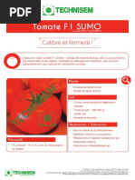 Tomate Sumo