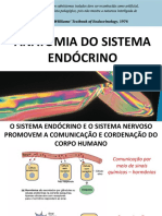 Sistema Endocrino