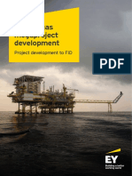 Ey Oil and Gas Megaproject Project Development To Fid