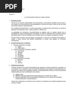 Gabinete Audi Financiera Temas 1-3 PDF