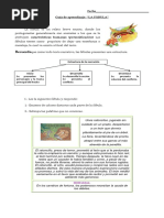 Guia Fabula PDF