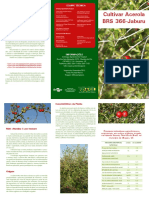 Acerola BRS 366 PDF