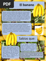 El Banano: Sabias Que