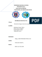 Informe - Movimiento Del Agua A Travez de Una Planta - Vilchez Correa Luis