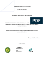 Informe Final PDF