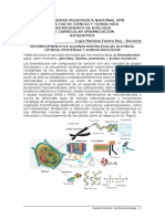 Lab. Determinacion de Biomoleculas