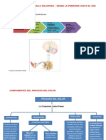 Transmisión Del Estimulo Del Dolor 1