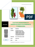 Cultivo Hidroponico