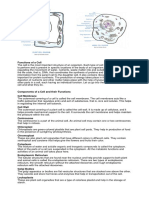 Functions of A Cell