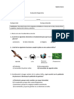 Diagnostico Cs Naturales 7