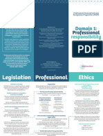 Domain 1 Professional Responsibility PDF