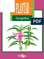 PLANTAR Gergelim Ed 01 2007 PDF