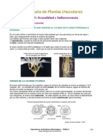 Morfologia de Las Plantas