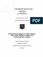 Evaluación de Plagas en Café, Papayo, Piña, Palto, Plátano y Cítricos en Chanchamayo y Satipo