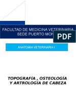 Clase 2 Osteologia y Artrología de Craneo Uss