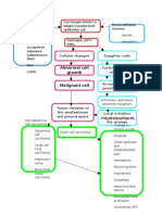 Pa Tho Physiology and NCP Lung Cancer