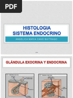 Histologia Sistema Endocrino Acb PDF